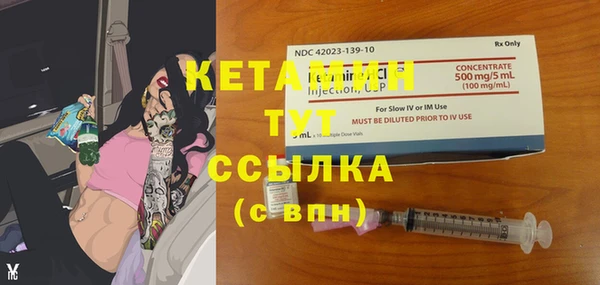 прущие грибы Михайлов