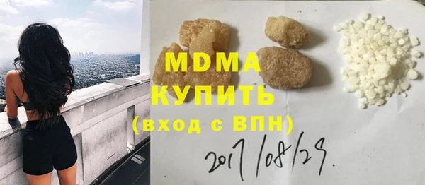 прущие грибы Михайлов