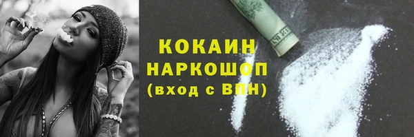 прущие грибы Михайлов