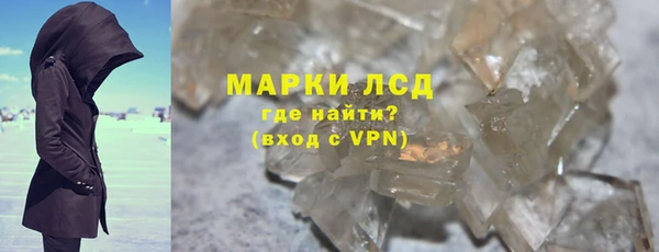 прущие грибы Михайлов