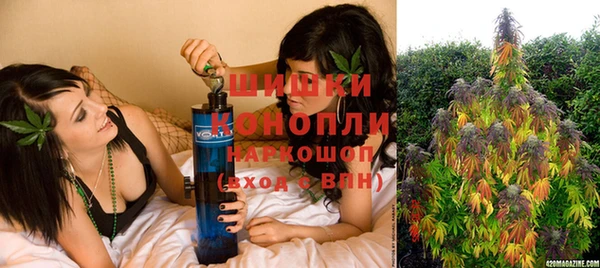 прущие грибы Михайлов