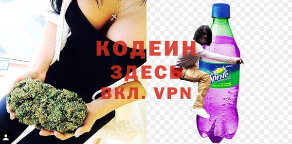 прущие грибы Михайлов