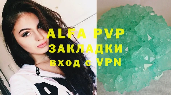 прущие грибы Михайлов