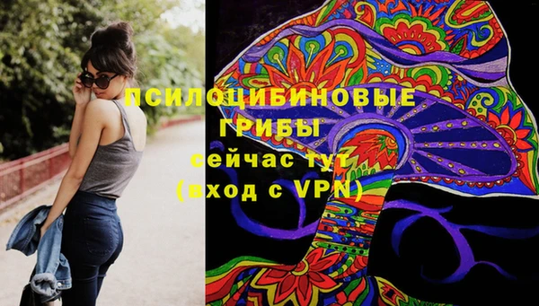 прущие грибы Михайлов