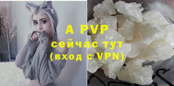 прущие грибы Михайлов