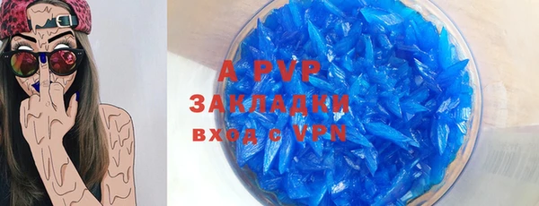прущие грибы Михайлов