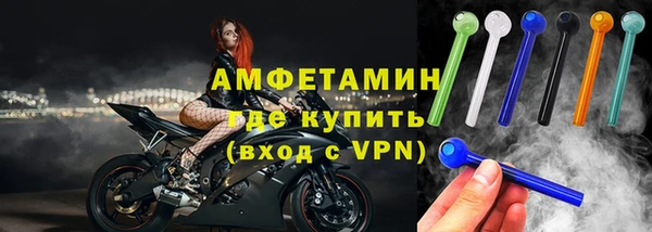 прущие грибы Михайлов